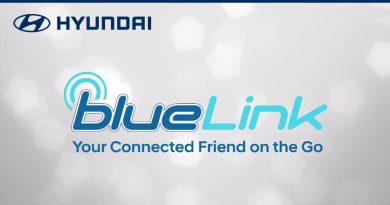 Bluelink